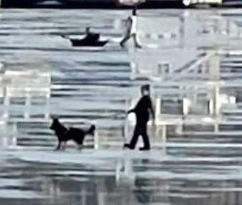 On the Sidelines in the&nbsp;Spring